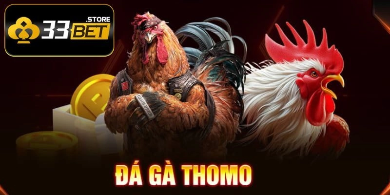 Đá gà trực tiếp Thomo 24/7 luôn mang đến sự tiện lợi