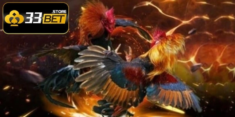 Một vài hình thức phổ biến