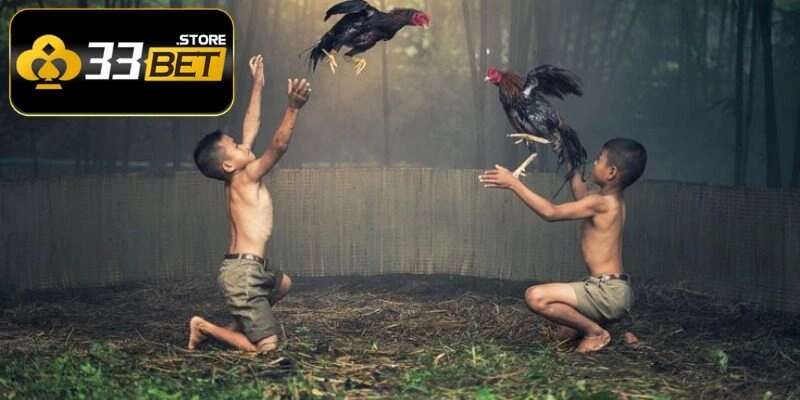 SV388 đá gà tốt nhất Việt Nam là nơi để trải nghiệm và khám phá