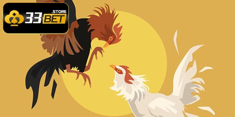 SV388 đá gà tốt nhất Việt Nam