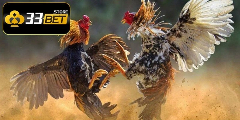 Ưu điểm của trò chơi