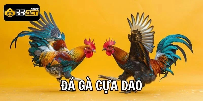 Giải mã sức hút của đá gà cựa dao